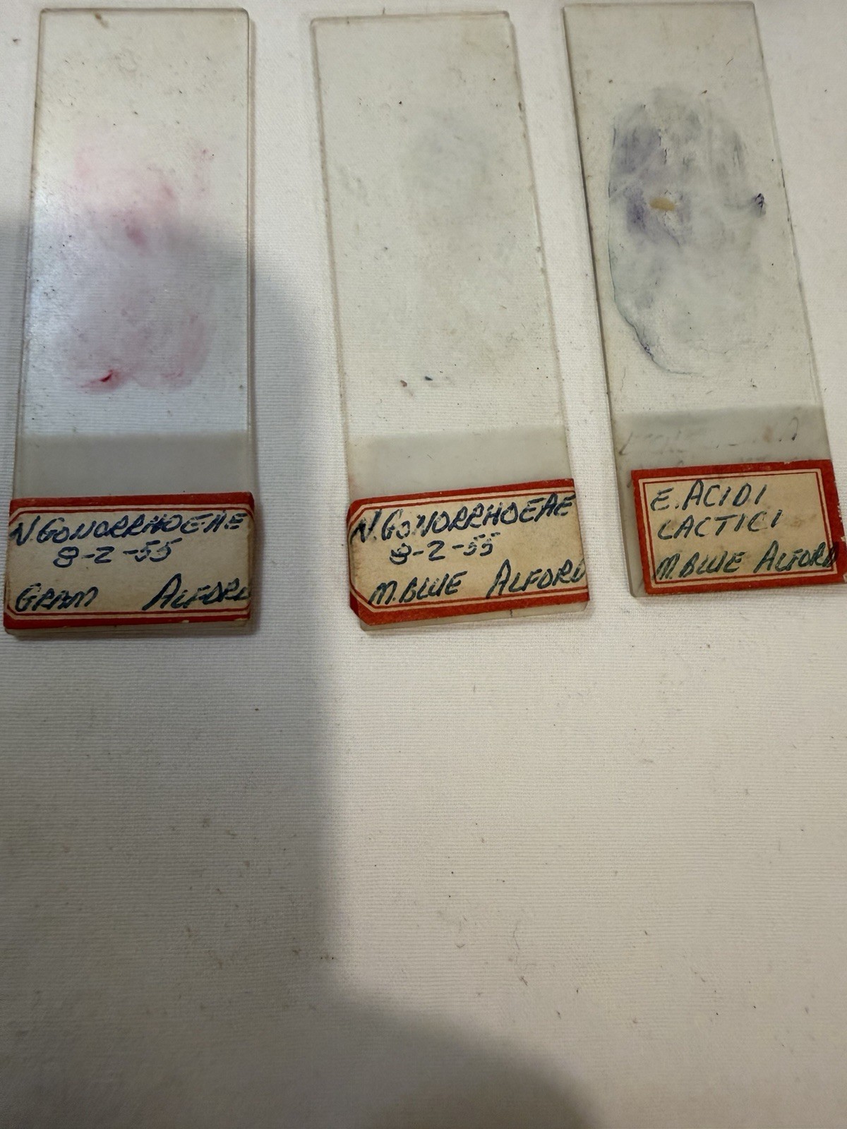 Vintage Microscope Medical Lab Slides