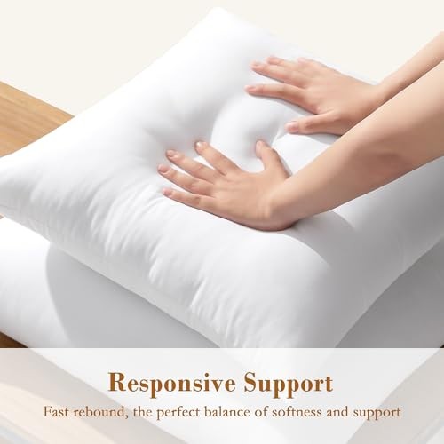 xPillow Inserts Pack Down Alternative Square Form Sham Stuffer, 22x22 Inch 2