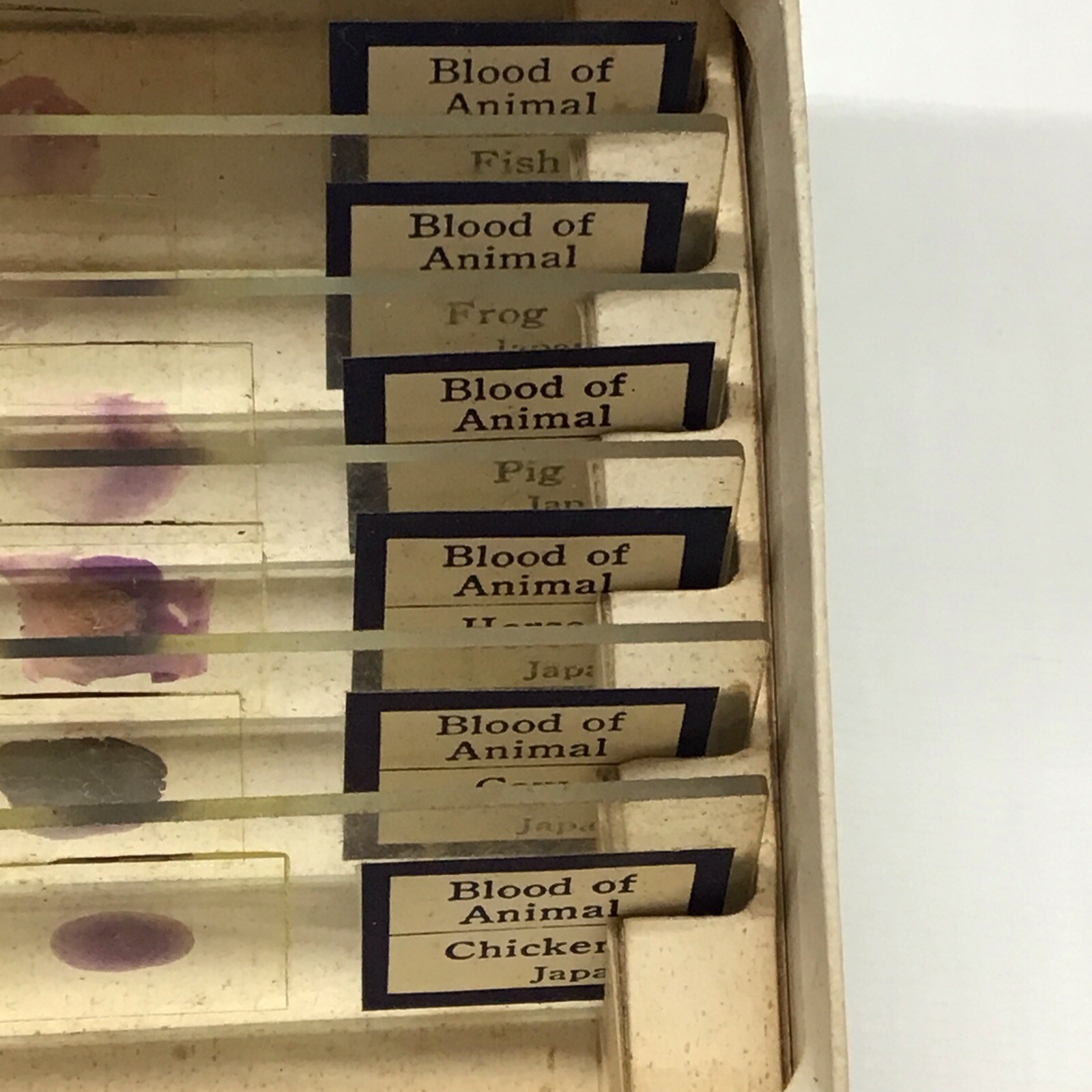 Vintage PERFECT MICROSCOPE SPECIMEN SLIDES 3 Boxes 18 Slides 810-E, N, & P