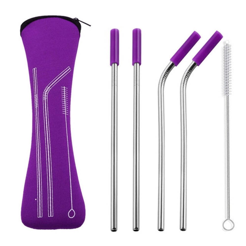 Reusable Stainless Steel Straw Set with Removable Silicone Tips