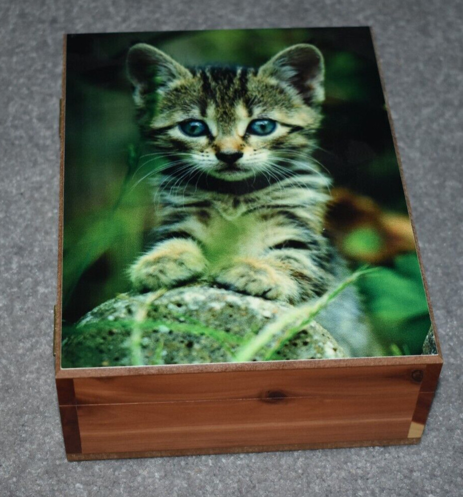 #5087 KITTY KEEPSAKE JEWELRY WOOD CEDAR BOX 6" X 8"