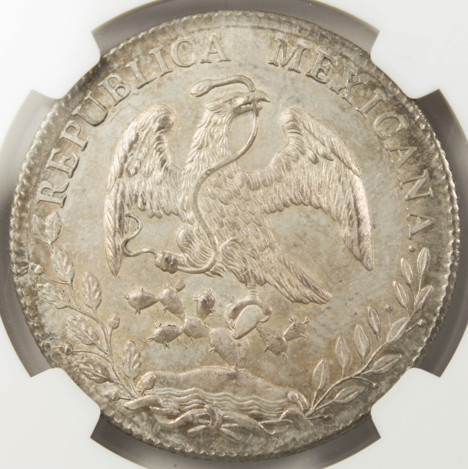 MEXICO Republic 1894 CN AM Cap & Rays 8 Reales Silver Coin NGC MS64 Nice Toning
