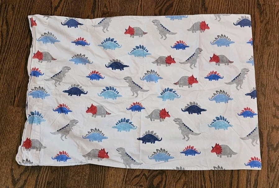 1 Pottery Barn Kids dinosaur Standard pillowcase Rare T-Rex Stegasoraus Blue Red