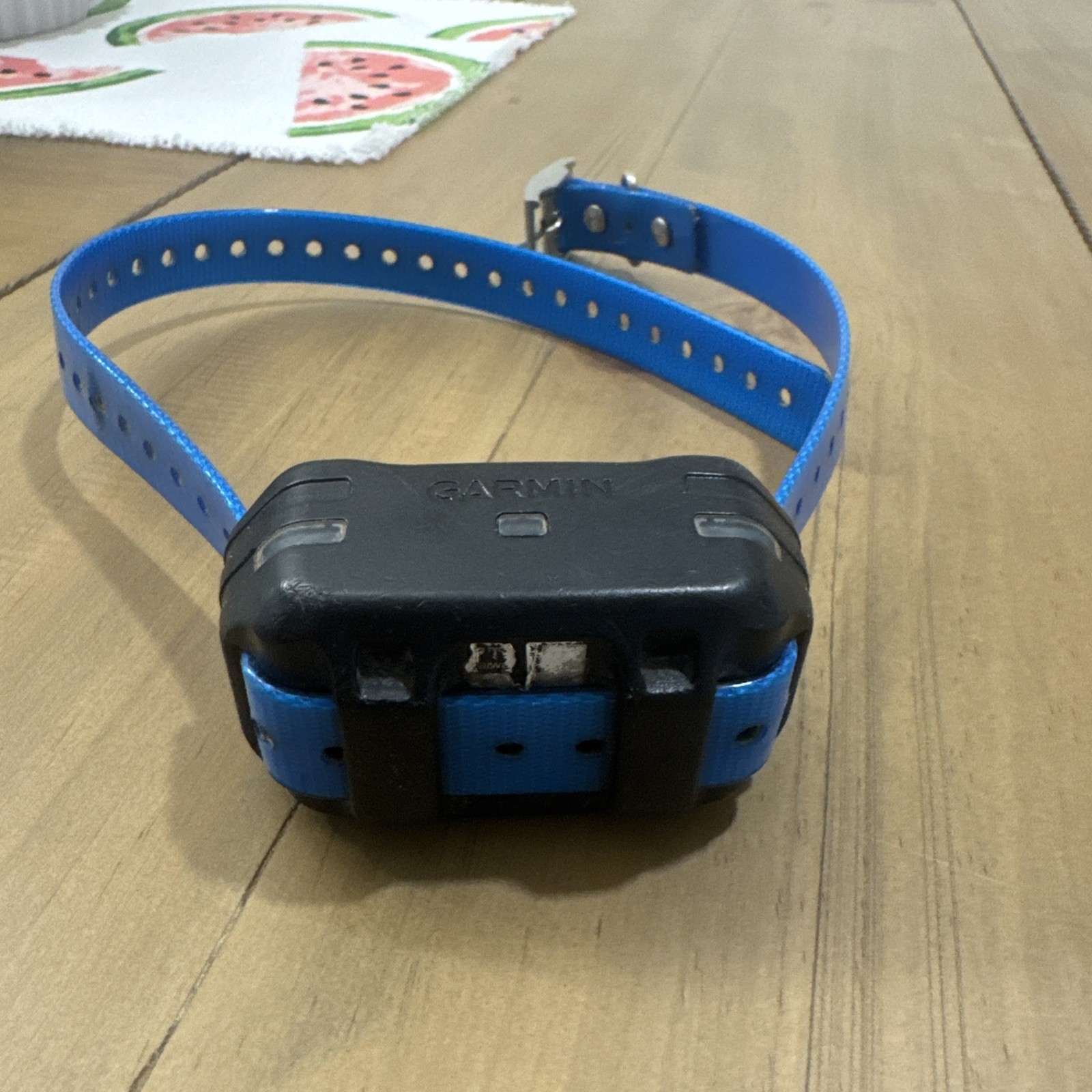 Garmin PT10 Collar AS IS Short Contact Points - Blue Strap