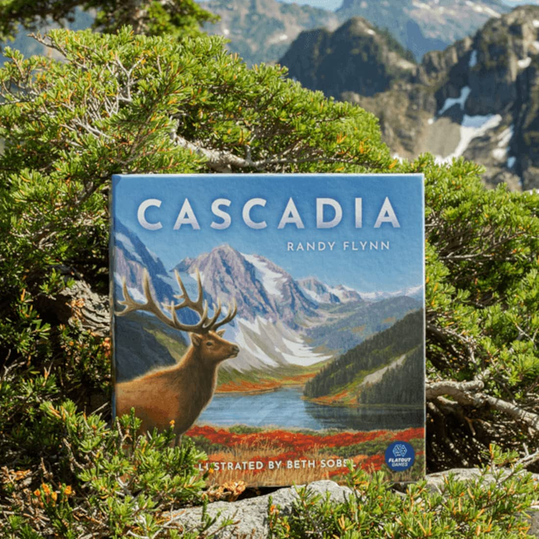 & Flatout Games | Cascadia - Award-Winning Board Game Set in the Pacific Northwe