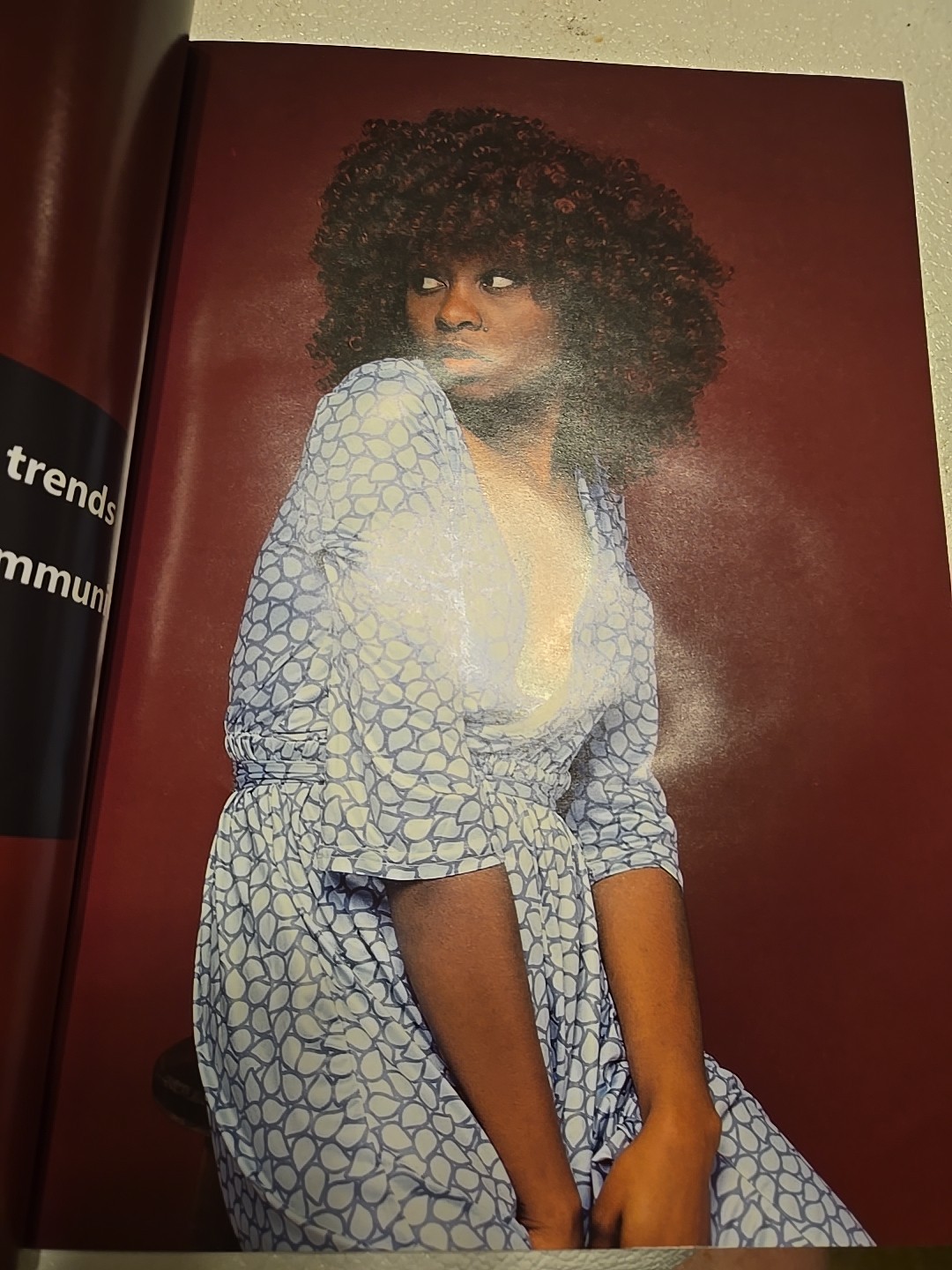 Shawtywig Collection Catalog