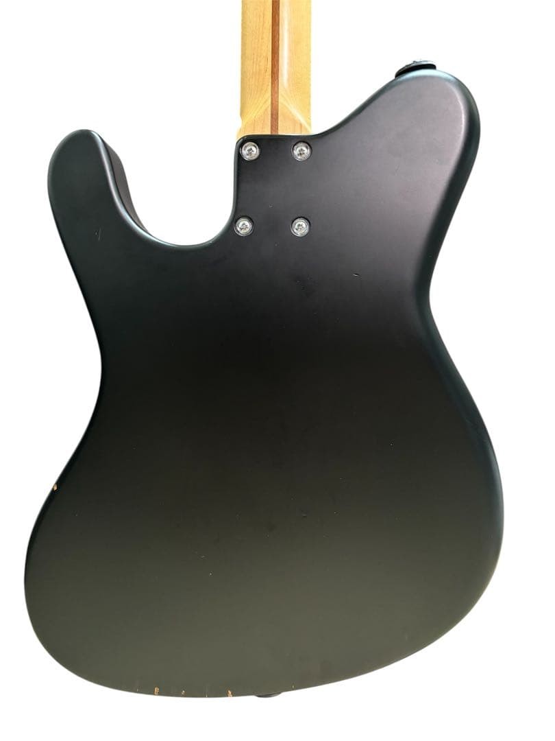 Dragonfly Border 666 Matte Black