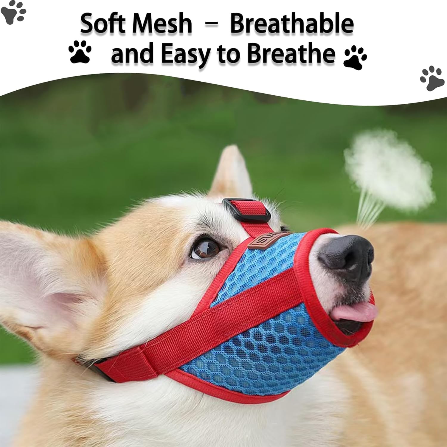 Basket Muzzle for Dogs, Prevents Biting Chewing Barking, Soft Small, Red-Blue