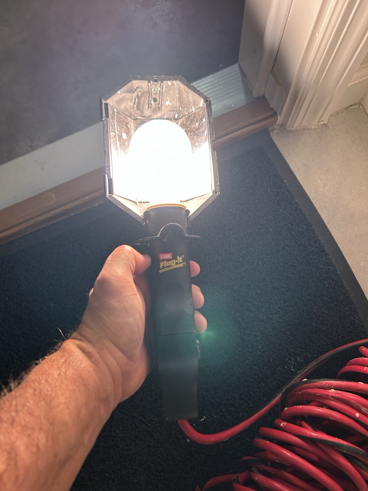 Portable Electric Work Hand Lamp
