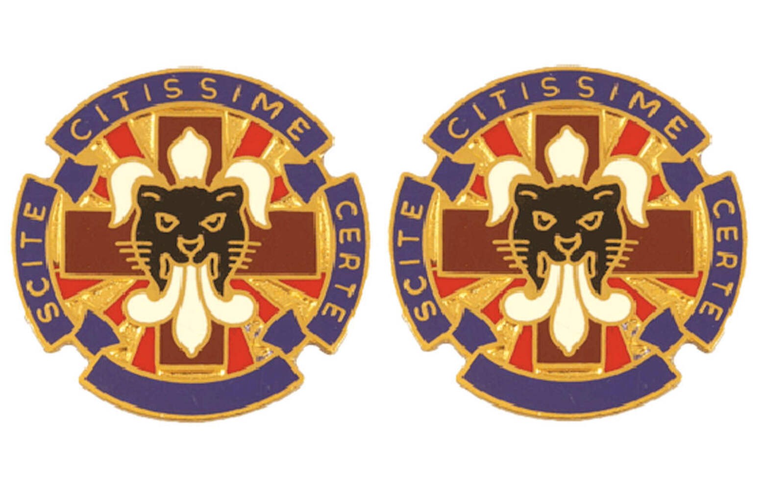 13th Combat Support Hospital Distinctive Unit Insignia - Pair - SCITE CITIS SIME