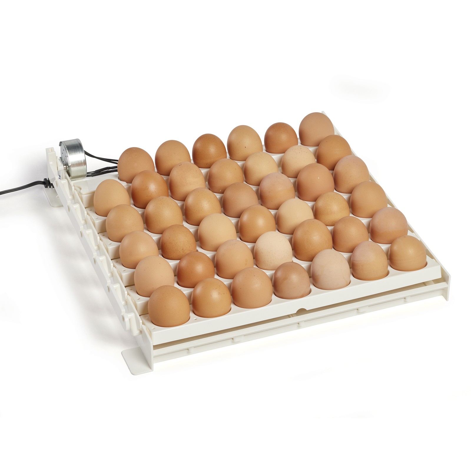 Farm Innovators 3200 Automatic 41 Spot Egg Turner for Improved Hatching, White