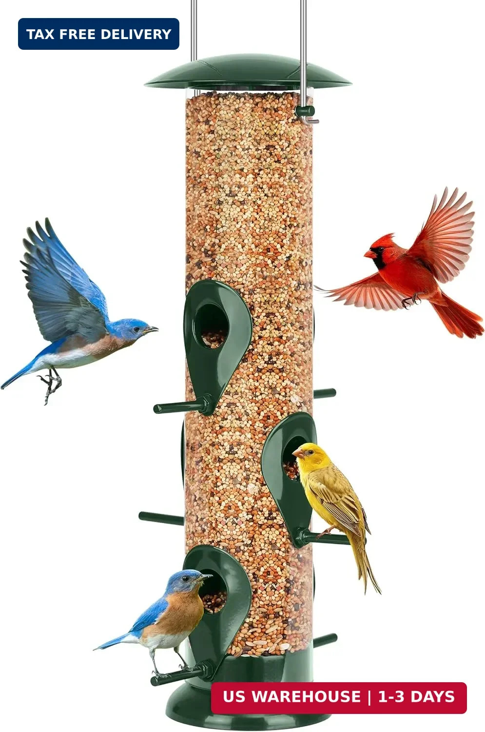 Metal Bird Feeder - 6 Port Tube Feeder for Outdoors, Heavy Duty Squirrel Proof w