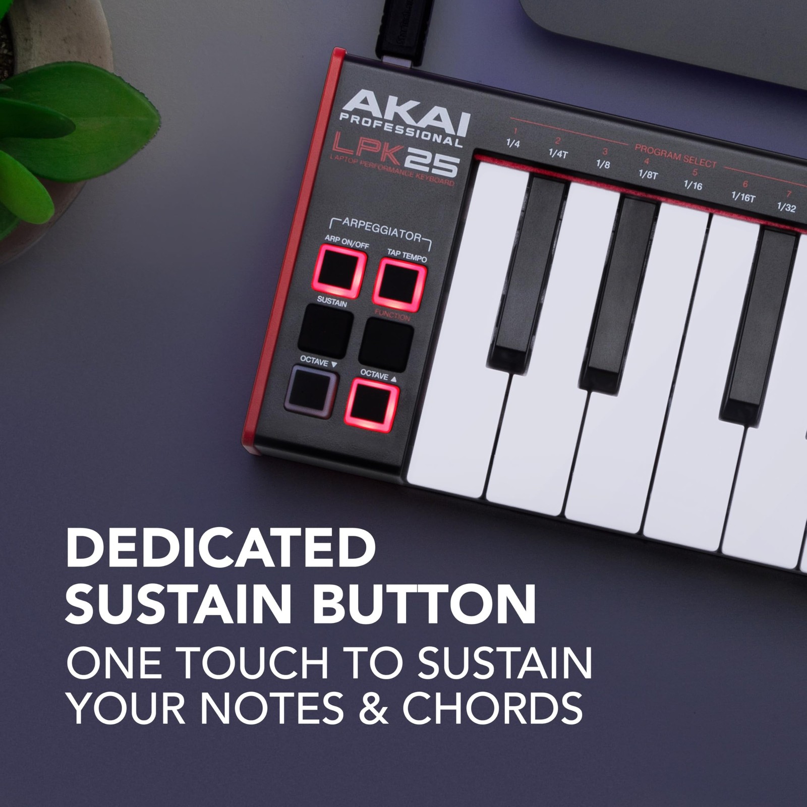 Professional LPK25 - USB MIDI Keyboard Controller with 25 Responsive Synth Keys