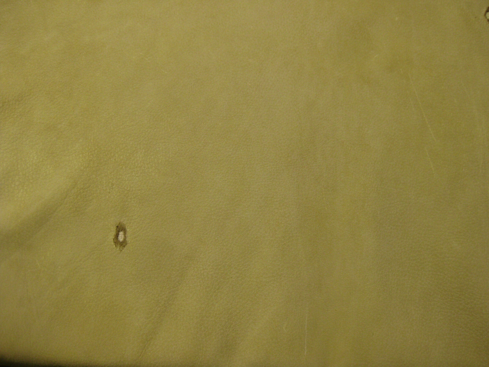 Top Grain Deer Leather #0010168 row B