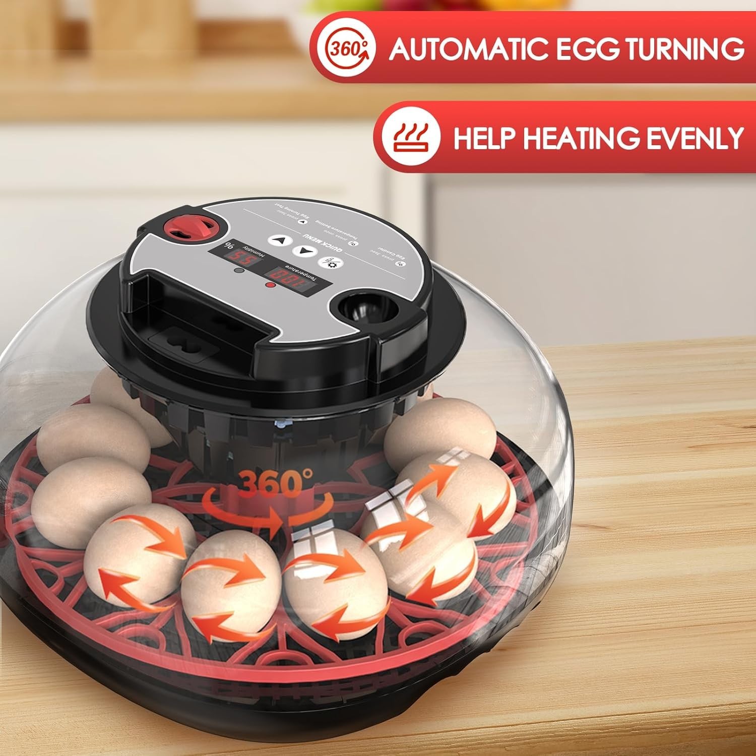 Automatic 12 egg incubator with temperature control function.