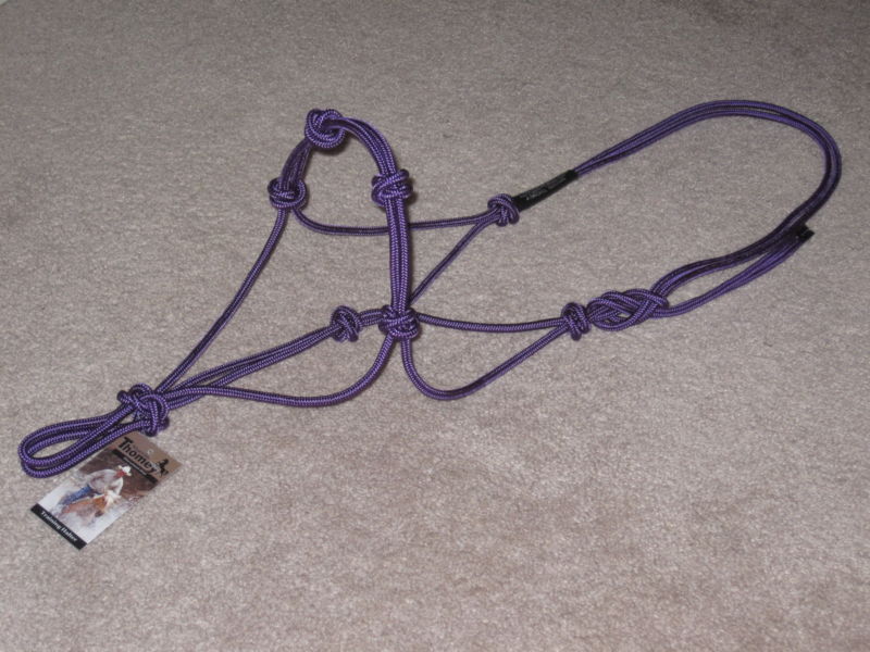 4 KNOT HALTER $23.95 FITS PARELLI, THOMEY, CLINTON ~ Purple