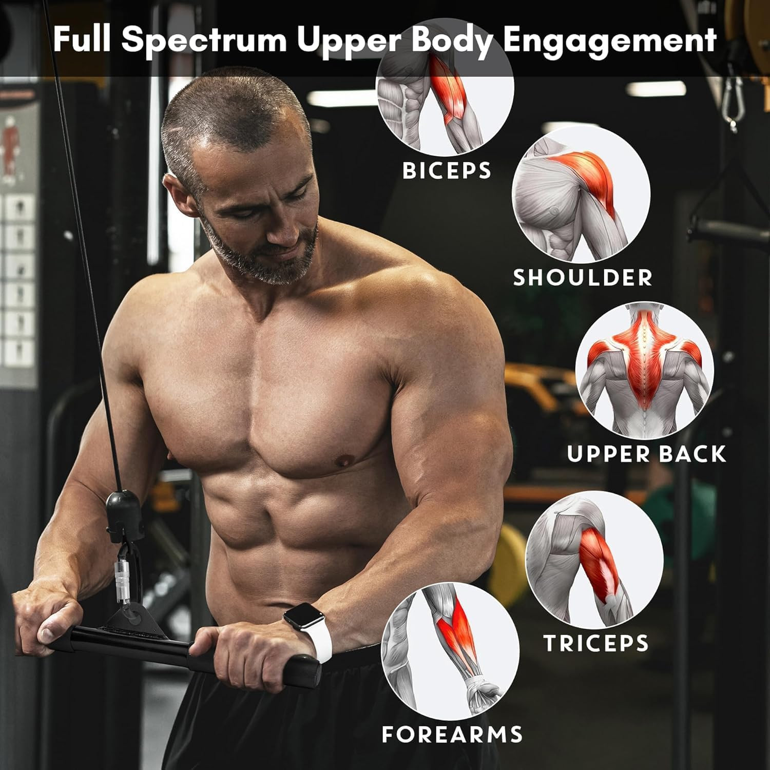 EVMT 15-Inch LAT Pulldown Attachments for Home Gym LAT Pull