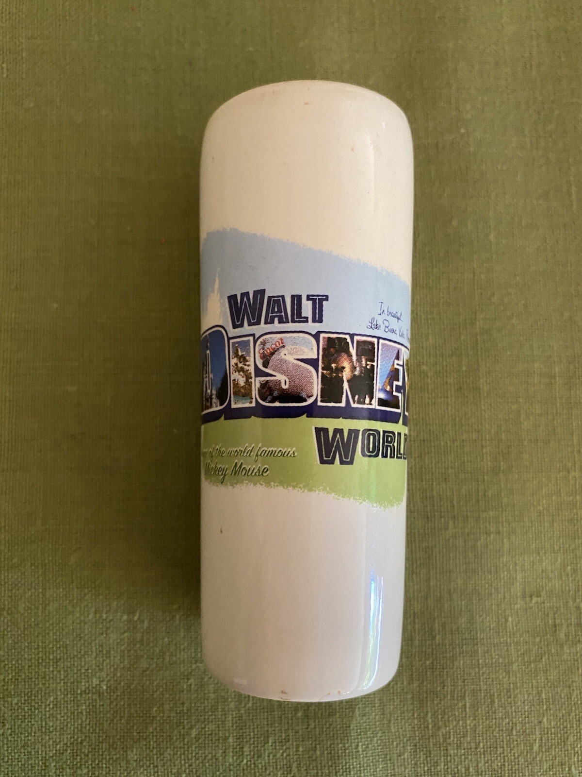Walt Disney World Vintage Shot Glass Post Card Image Silver Phoenix