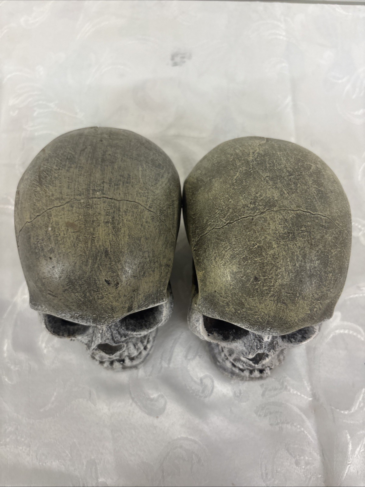 Halloween Sitting Human Skull Scary Decor