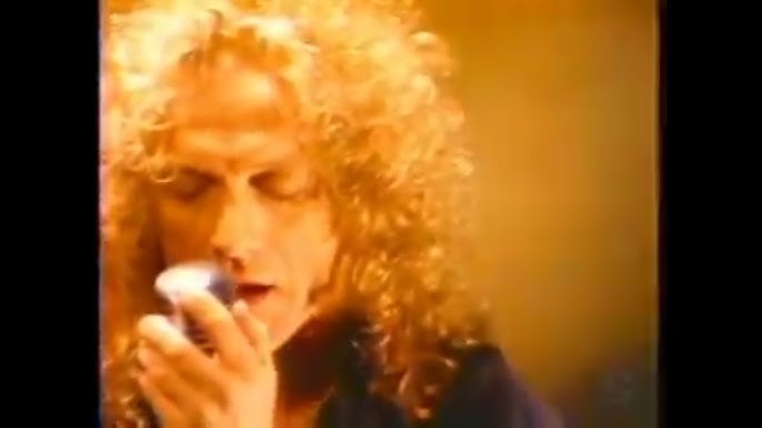 Foreigner Live Mexico City Mr. Moonlight Tour 1995 Concert DVD Free Shipping