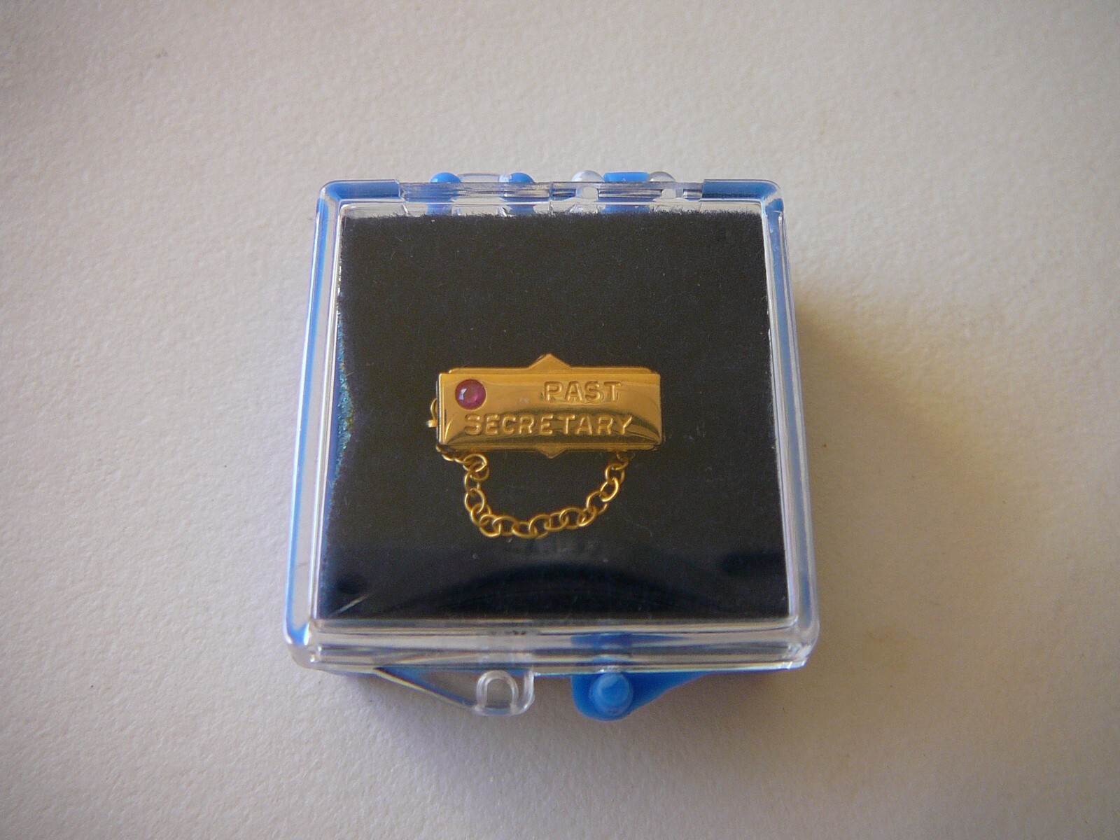 GOLD TONE "PAST SECRETARY" BROOCH PIN WITH PLASTIC CASE