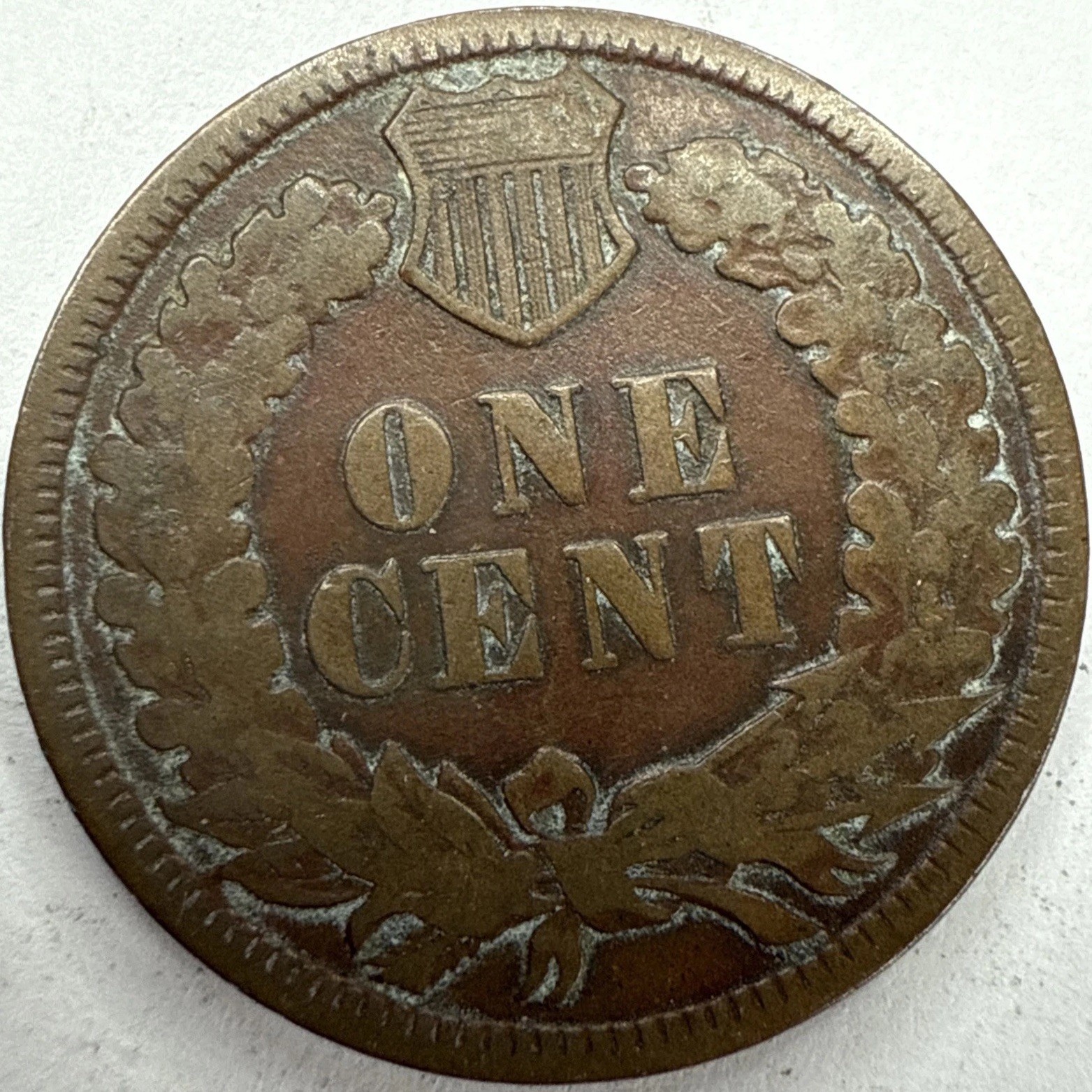 1884 Indian Head Cent Exact Coin Imaged #IND1903