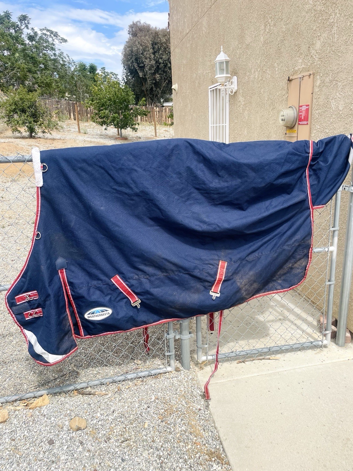 WeatherBeeta Comfitec Plus Turnout Blanket-Standard Neck-Blue/Burgundy-78"