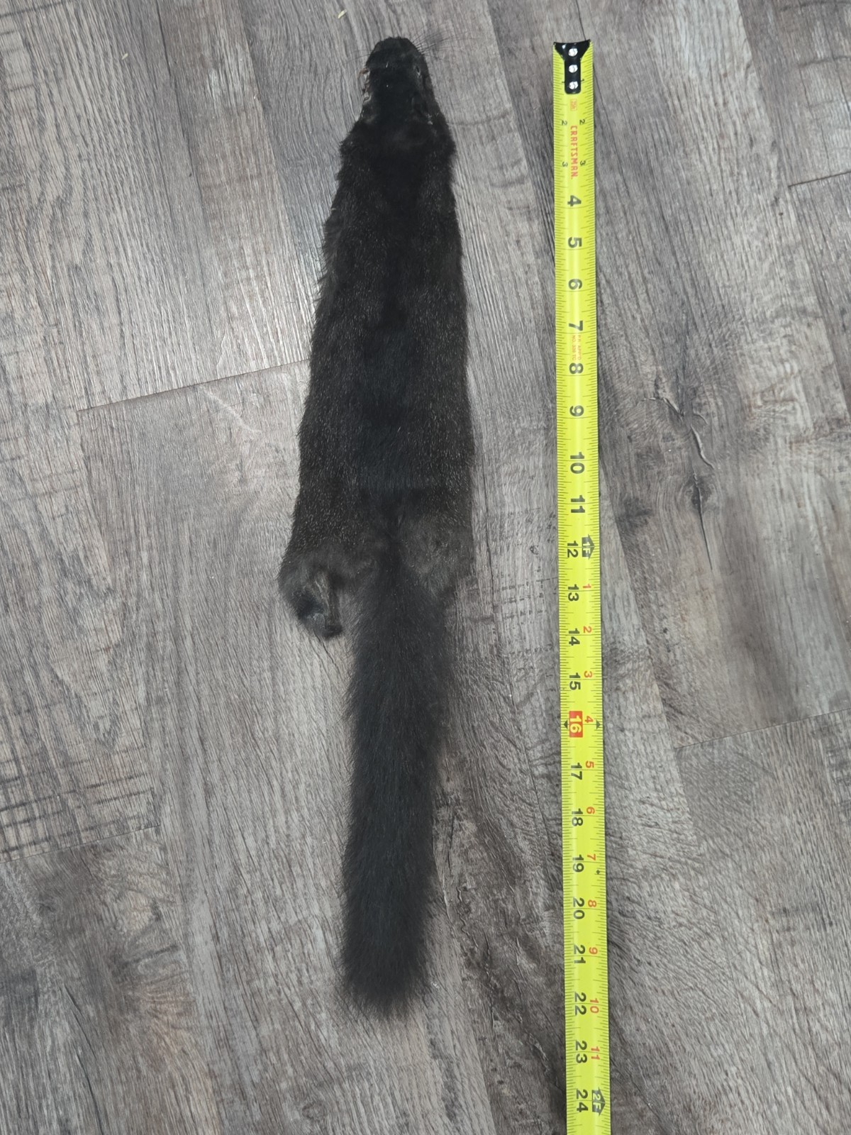 Black Fox Squirrel Skin Pelt Hair Taxidermy Fly Fishing Tying Dubbing Materials