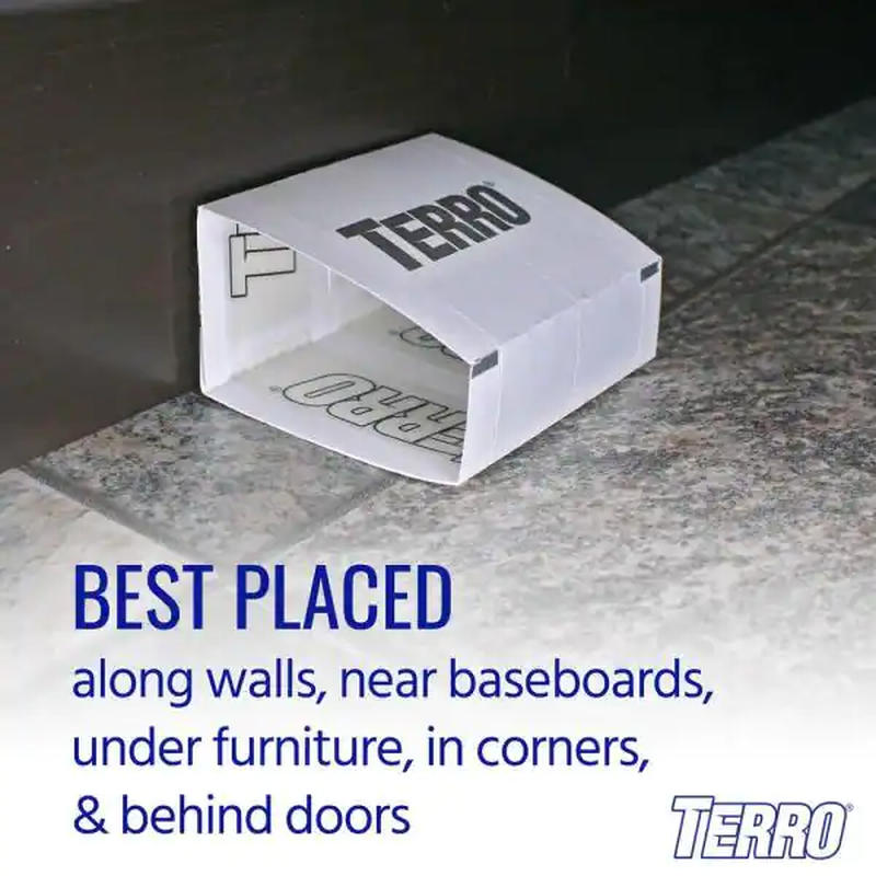Non-Toxic Spider and Insect Trap (4-Count)