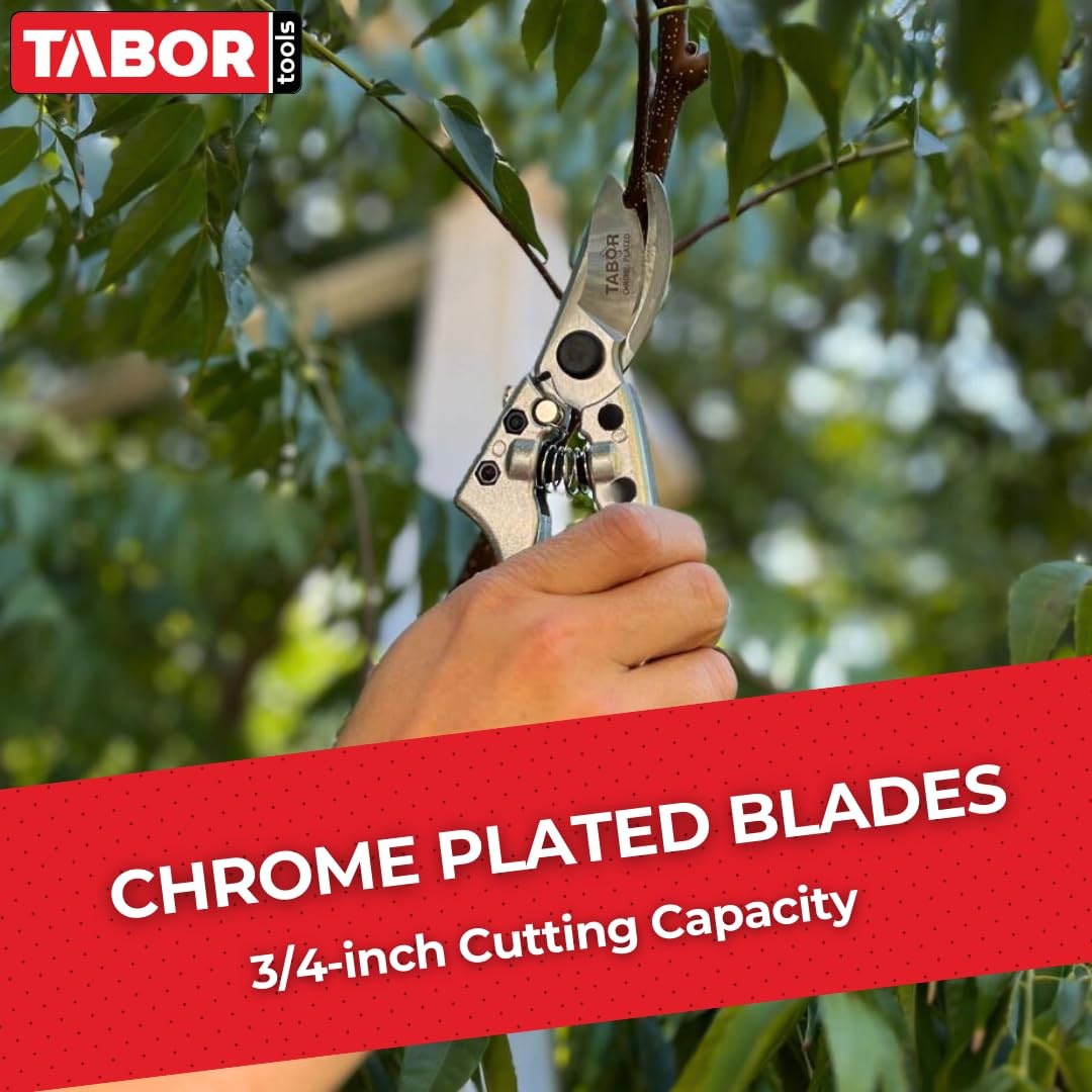 TABOR TOOLS S834A Bypass Pruning Shears, Makes Clean Cuts, Silver