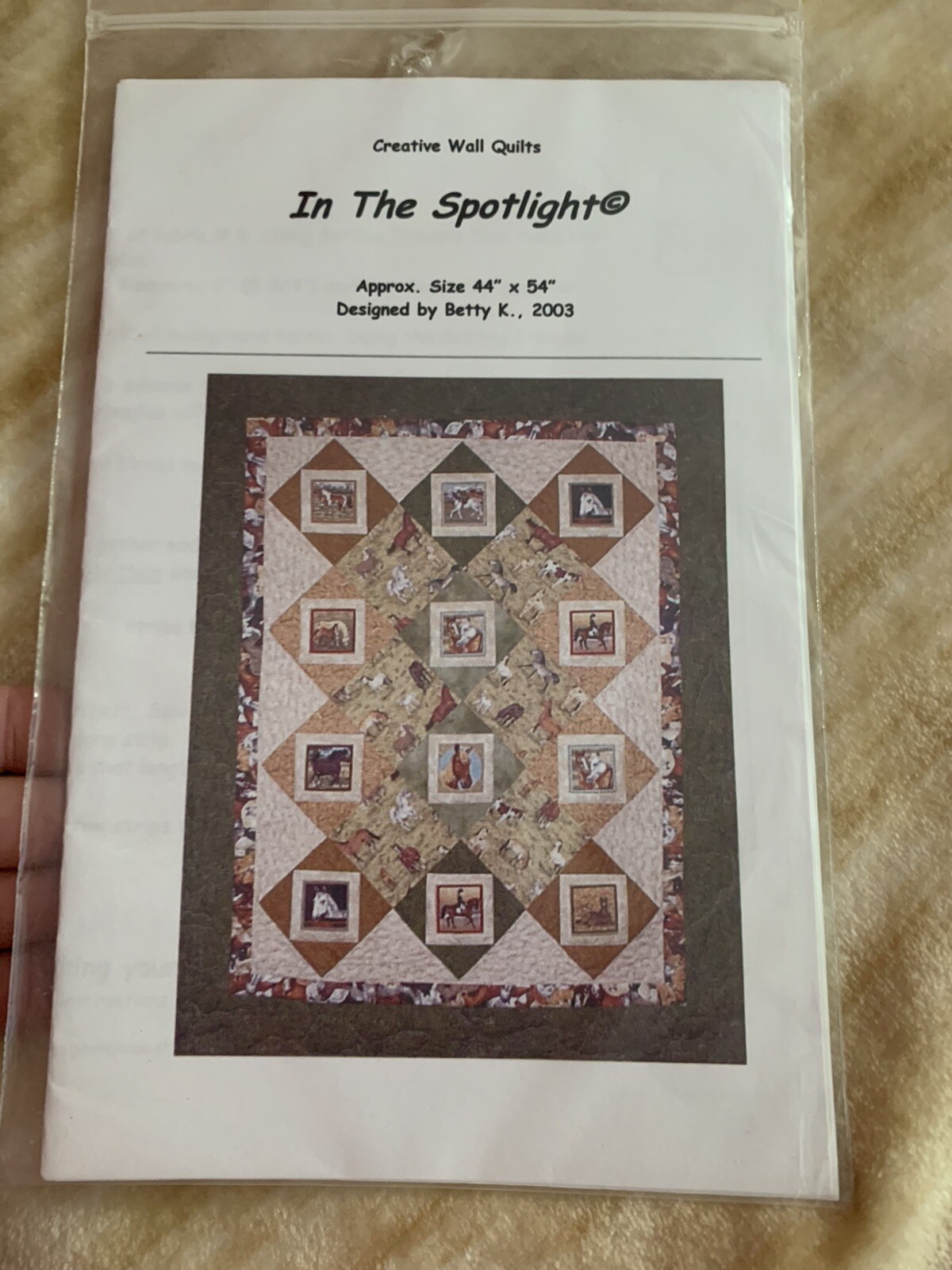 IN THE SPOTLIGHT Creative Wall Quilts PATTERN Betty K  FREE SHIPPING!