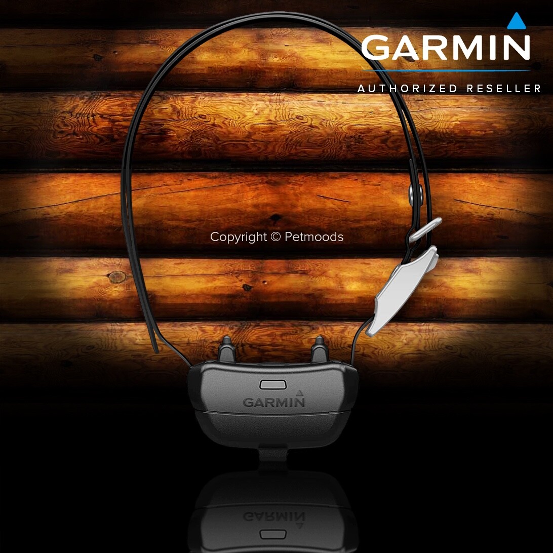 Garmin Delta SE Remote Dog Training System Bundle 1/2 Mile Range 010-02608-00