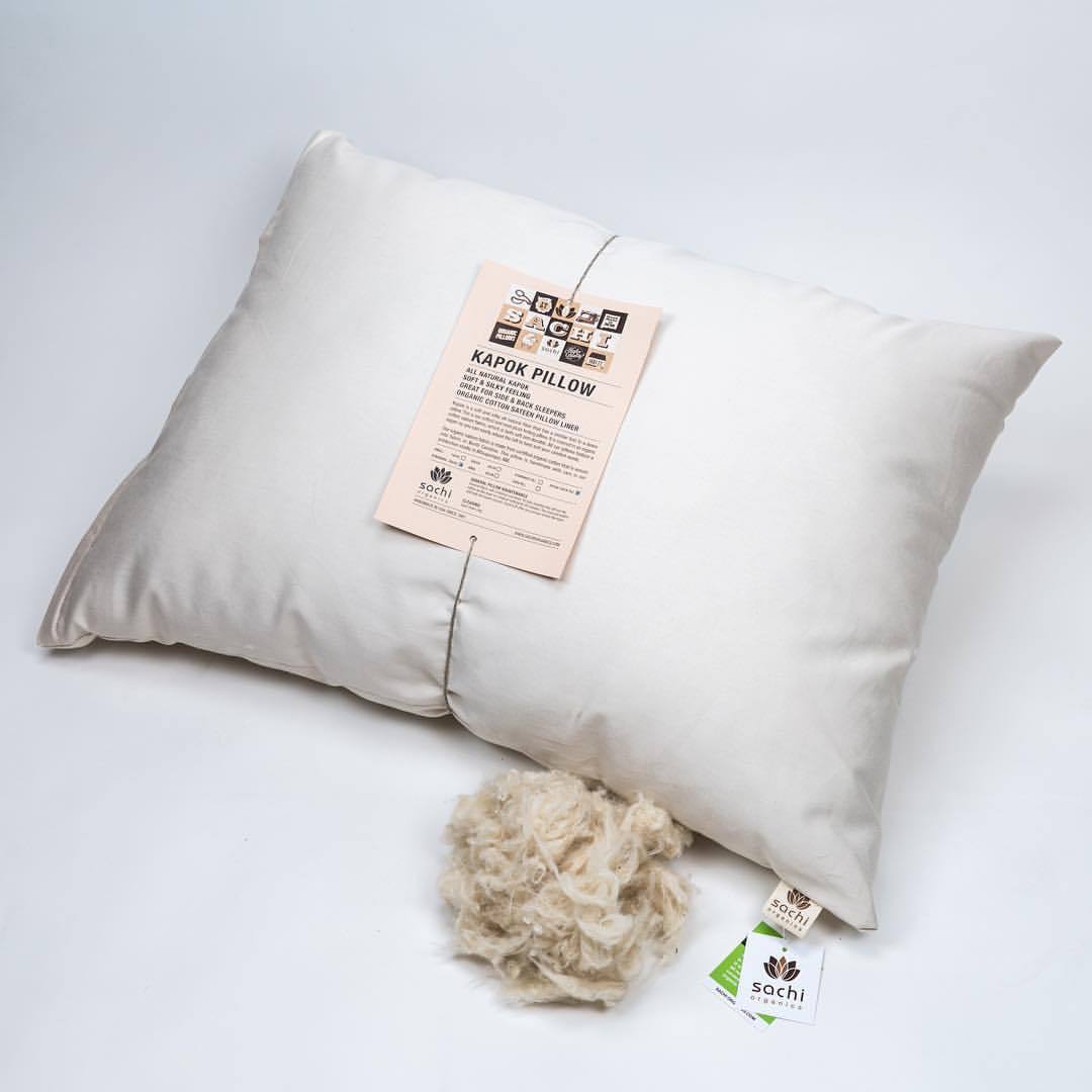 Organic Cotton Bed Pillow SACHI Organics USA Natural Standard Queen King Eco