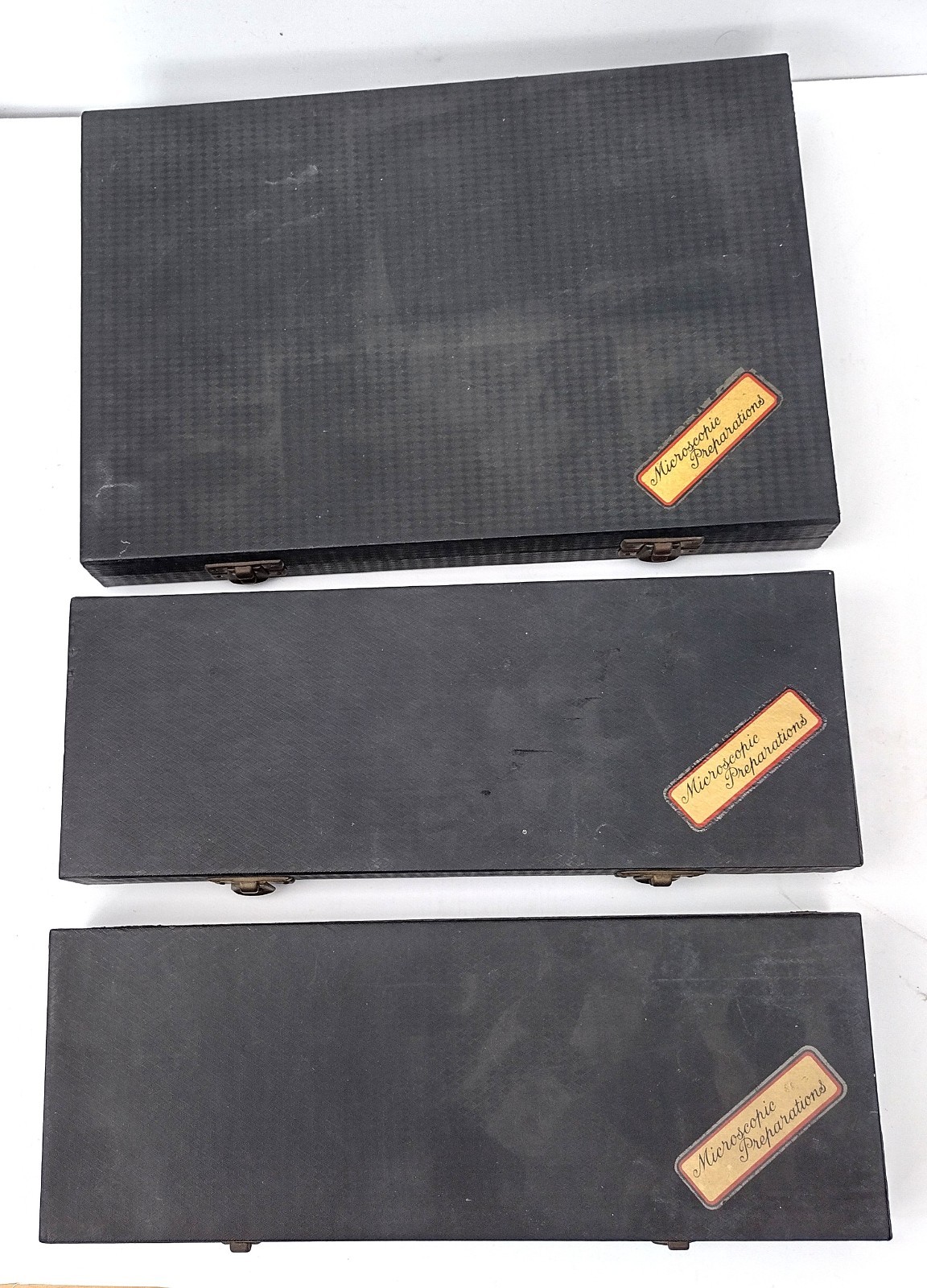 Microscope slides: petrology, histology, entomology etc