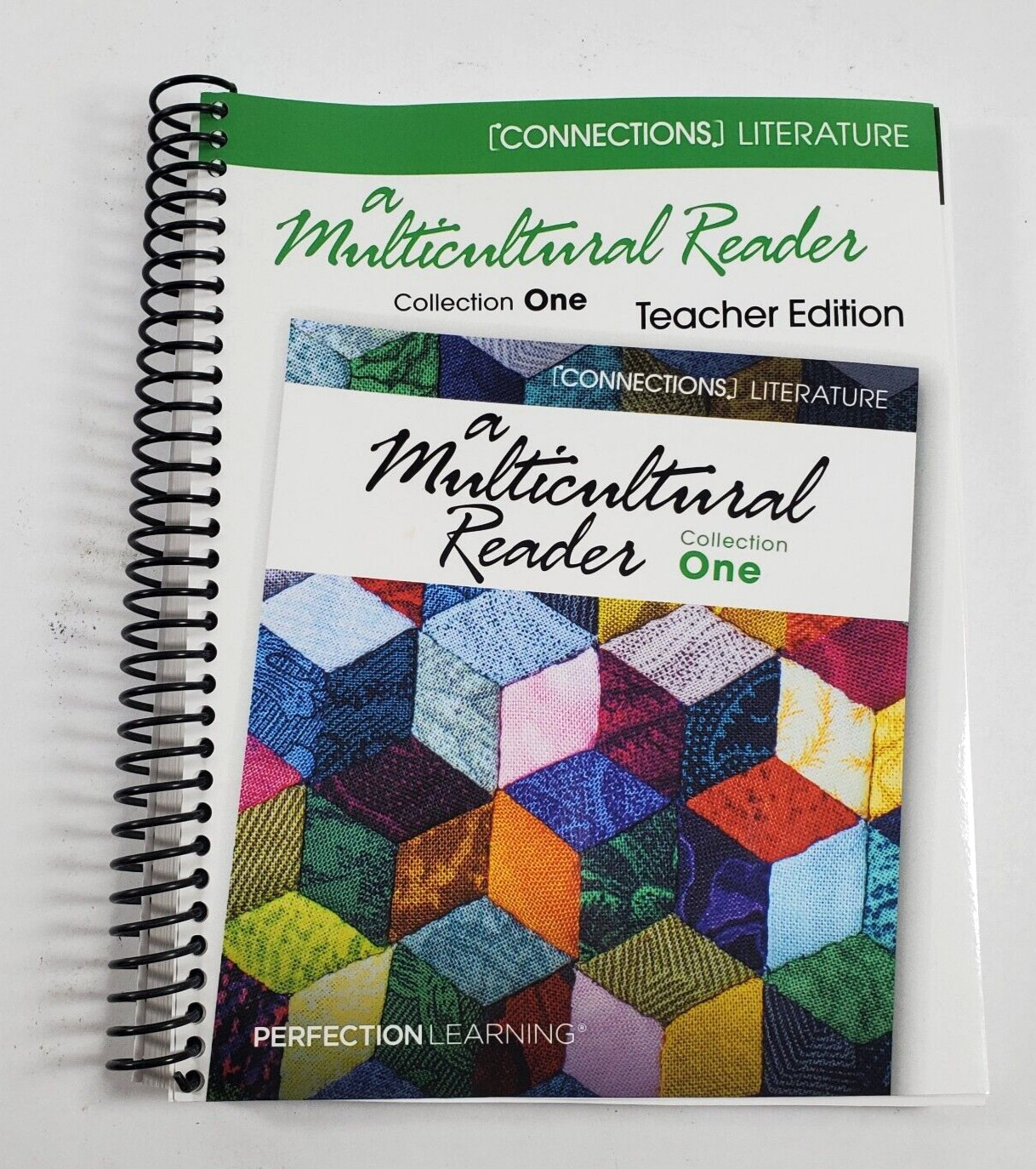 Multicultural Reader Collection One Teacher Edition 2021 Connections Perfection