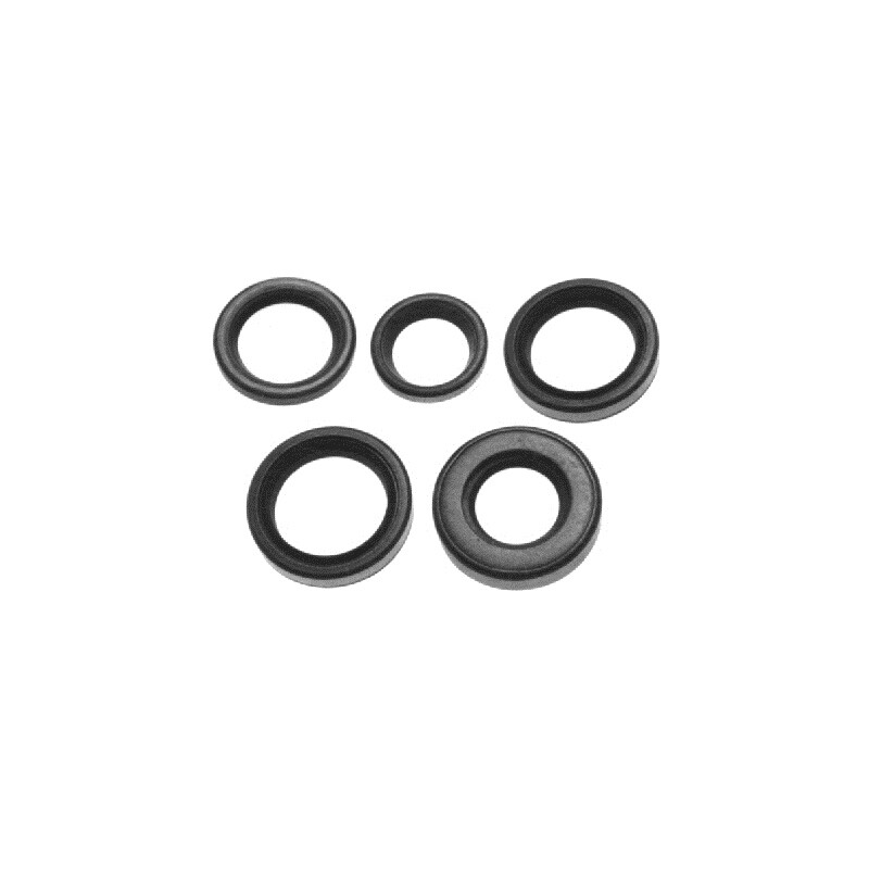 SIERRA 18-2026 MRY OIL SEAL
