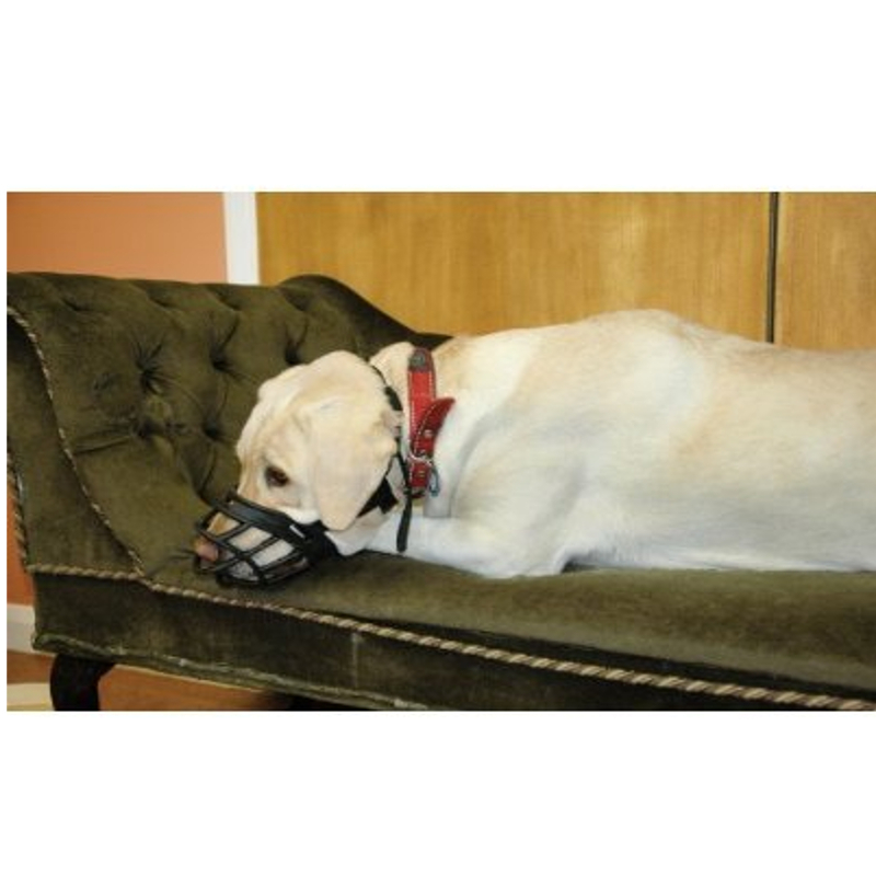 Baskerville Ultra Dog No Bite Muzzle Comfortable Soft Plastic Mesh Basket Black