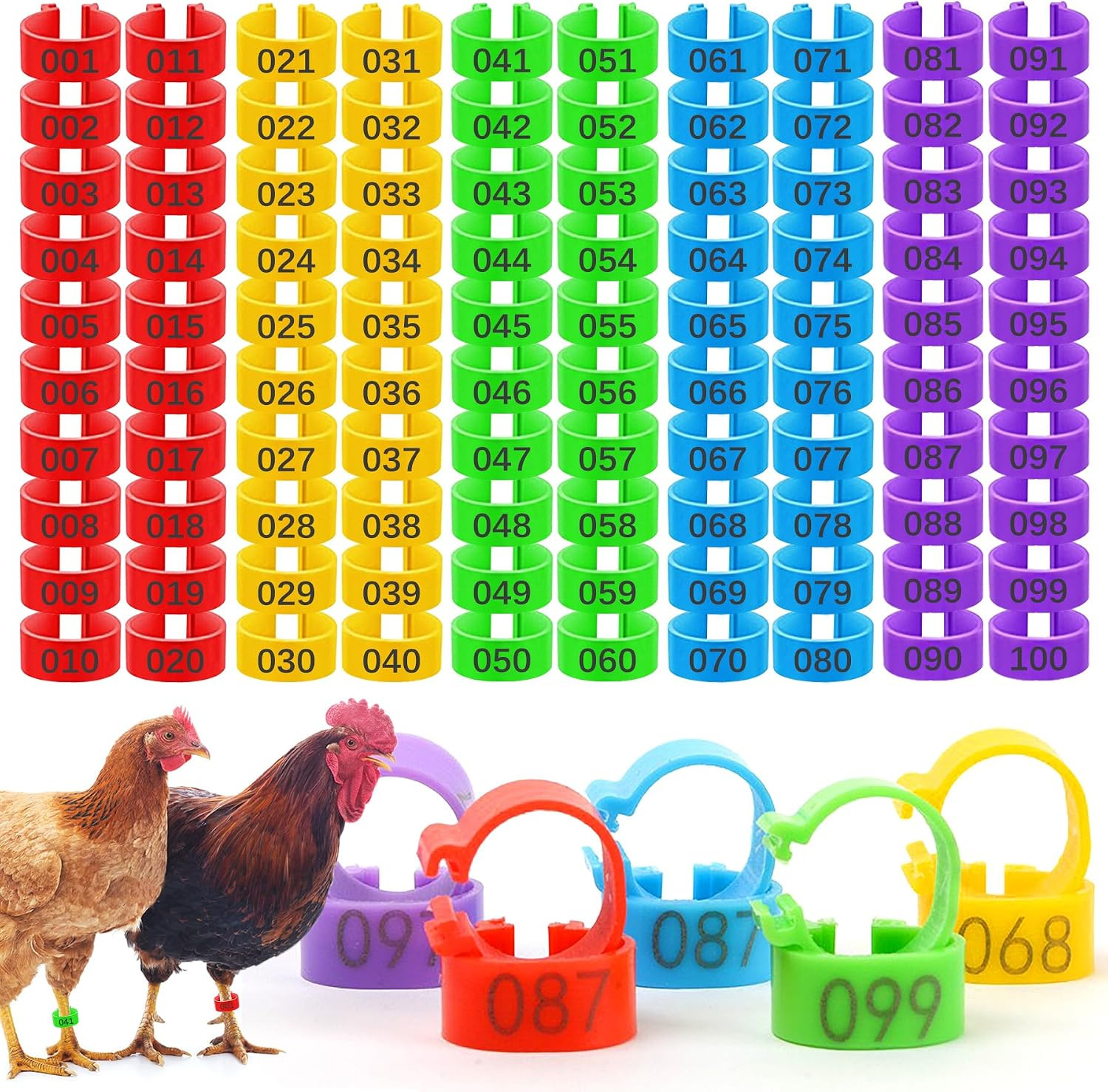 100 Pcs 16Mm Numbered Chicken Leg Bands, Colorful Poultry Leg Bands & Rings