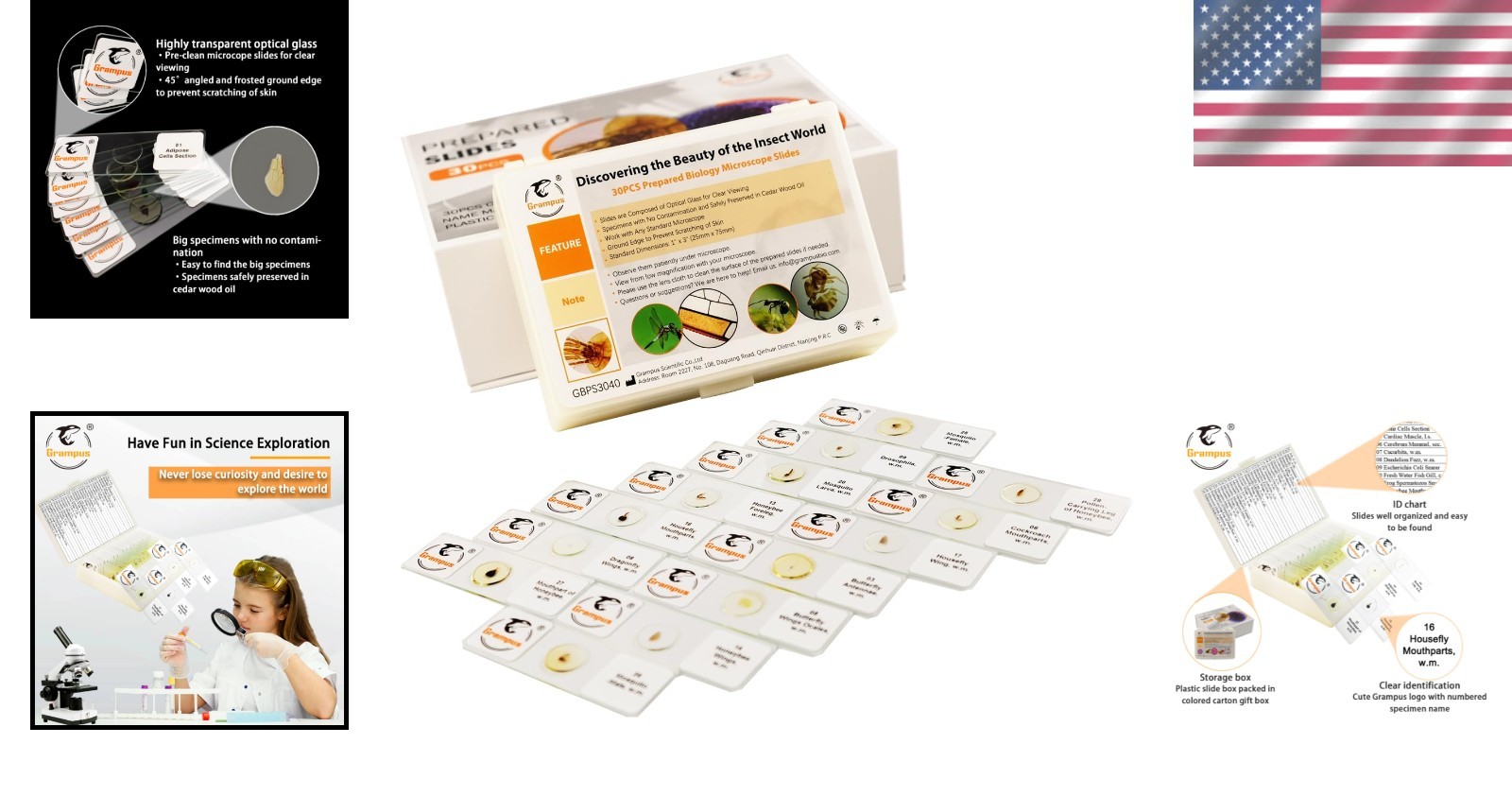 30pcs Optically Cleared Insect Microscope Slides - Safe for Kids and School Labs