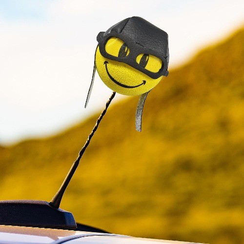 Car Antenna Topper, Cute EVA Vehicle Antenna Foam Ball Decoration Color: Pilot
