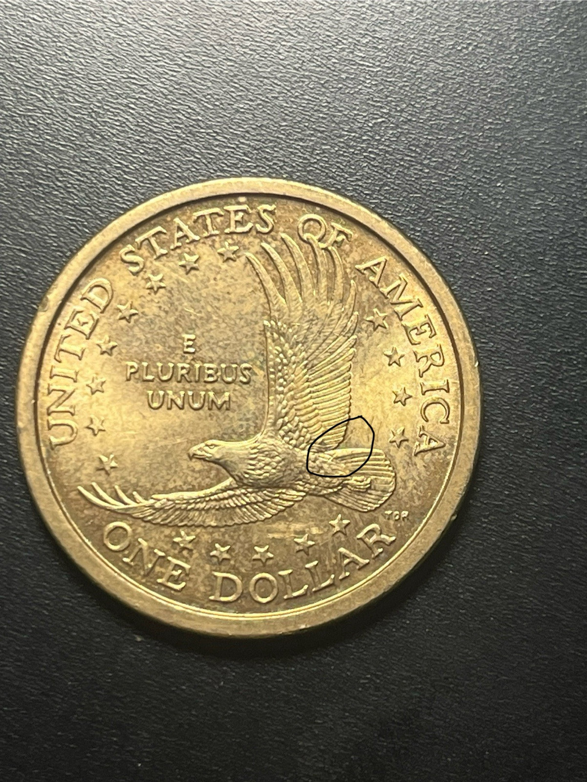 2000 P Sacagawea Dollar Wounded Eagle Error