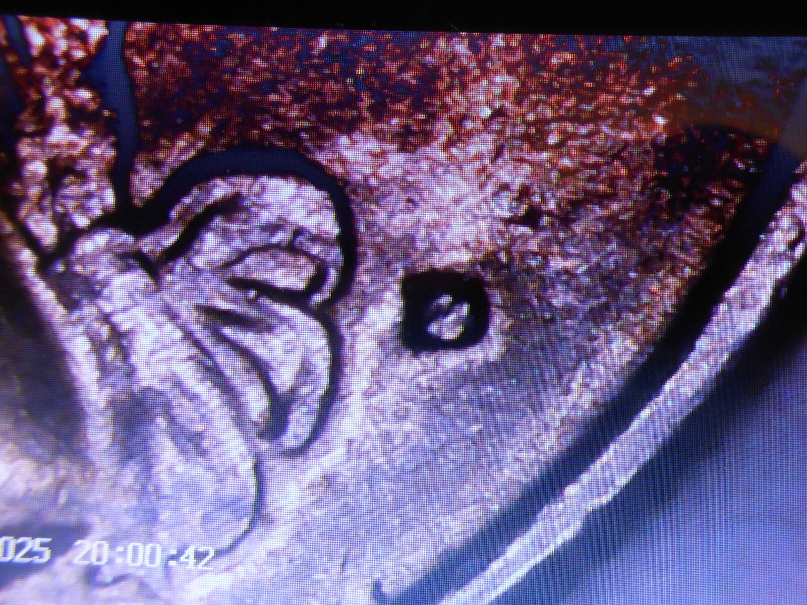 1776-1976 d Washington bicentennial quarter with filled d and other errors