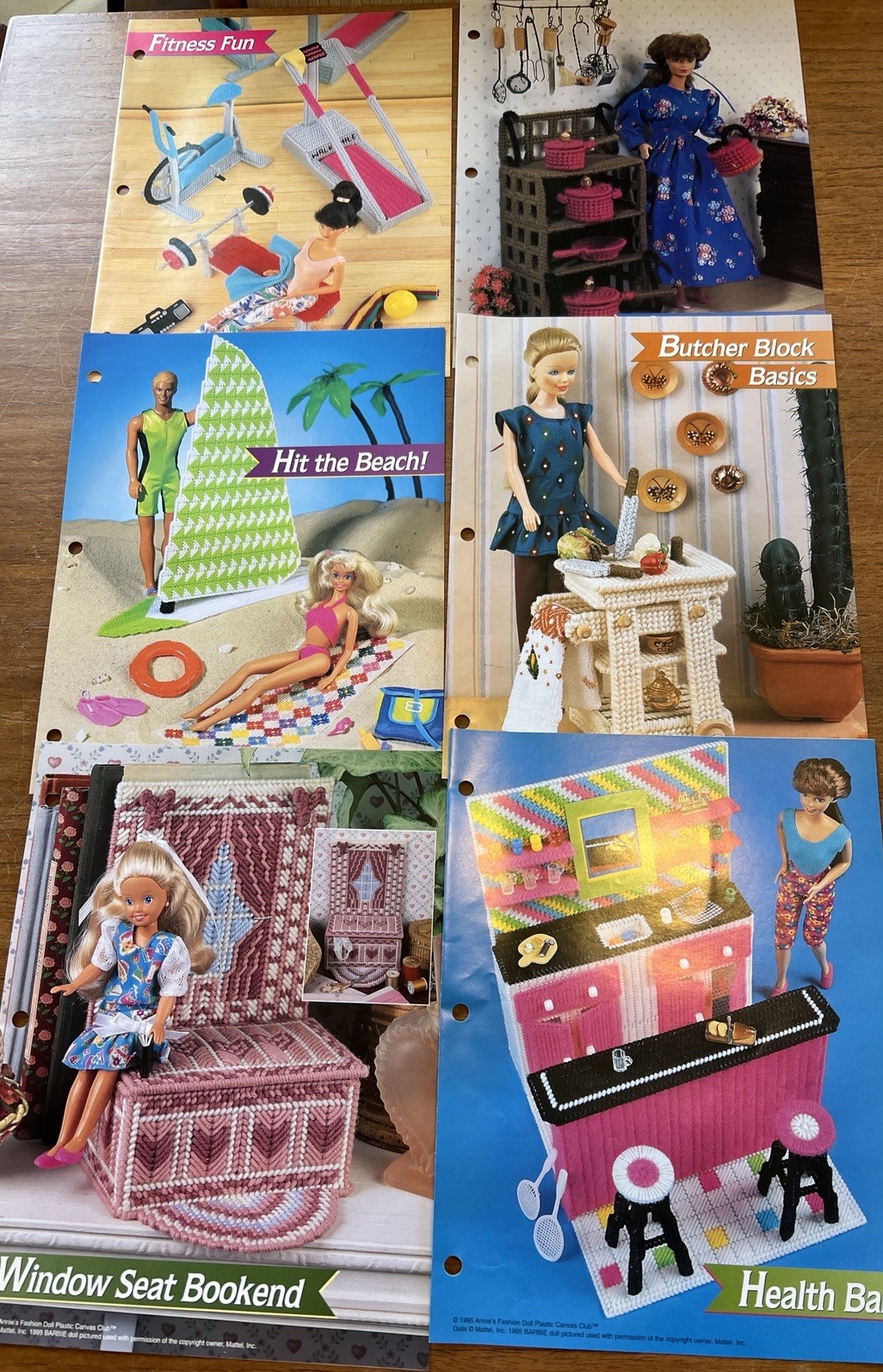 Annie's Attic International Plastic Canvas Club Binder With 54 Patterns