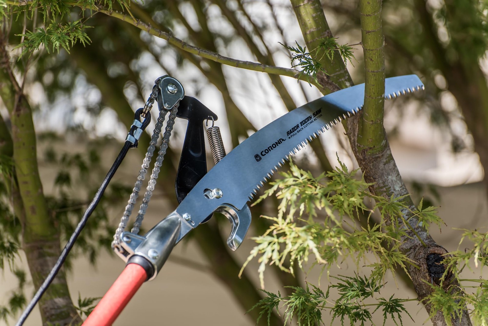 TP 6870 MAX RazorTOOTH DualCOMPOUND Action 14-ft. Tree Pruner