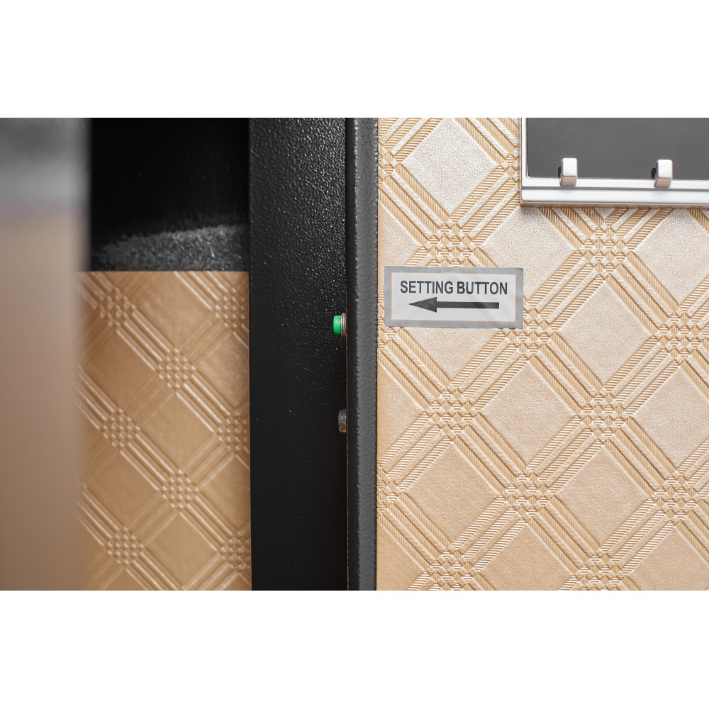 0.23CF Key+Password Safe, Mini Storage for Money & Docs