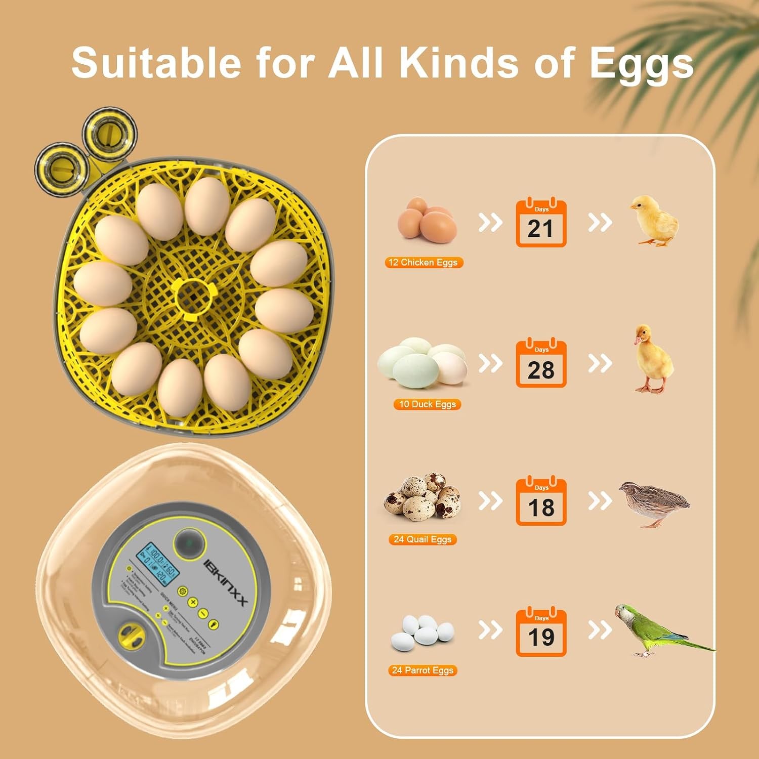 Incubator for Hatching Eggs-12 Egg Capacity 2026 Newly Upgraded Automatic Egg