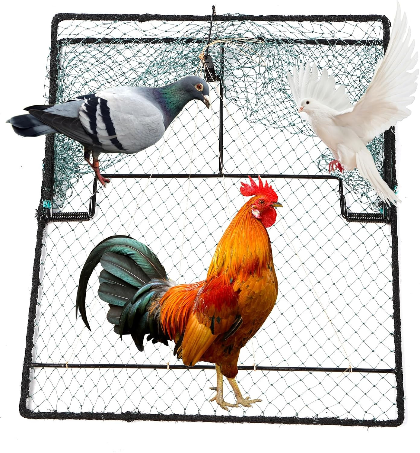 Humane Pigeon Trap,Bird Trap for Quail,Turkey,Net Traps (19.7X23.6 Inch)