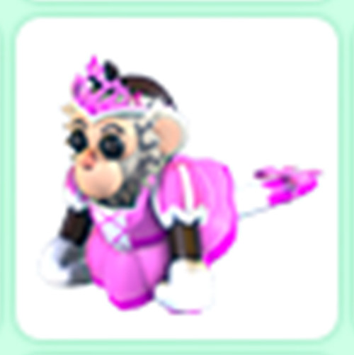 🔥Princess Capuchin Monkey 🔥 The Trusted Store!!