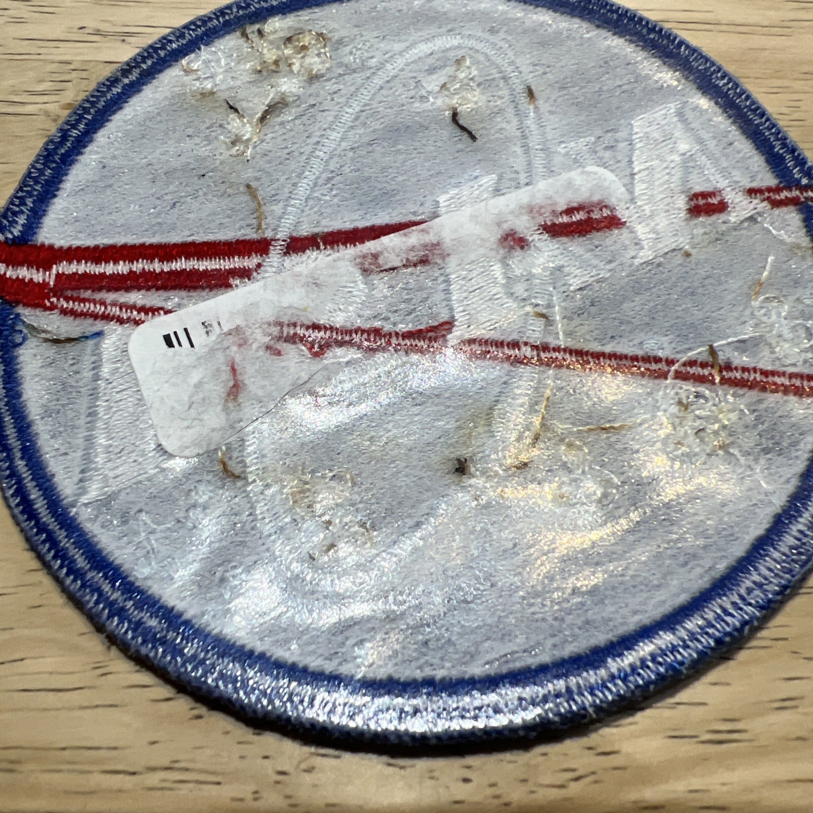 Vintage NASA Vector Logo Insignia Space Program Patch