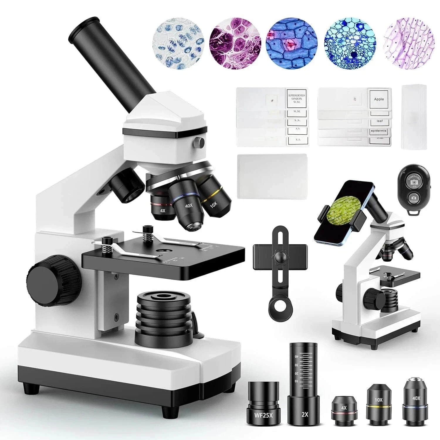 Compound Microscope - 100X-2000X High-Power Biological Microscope(White)